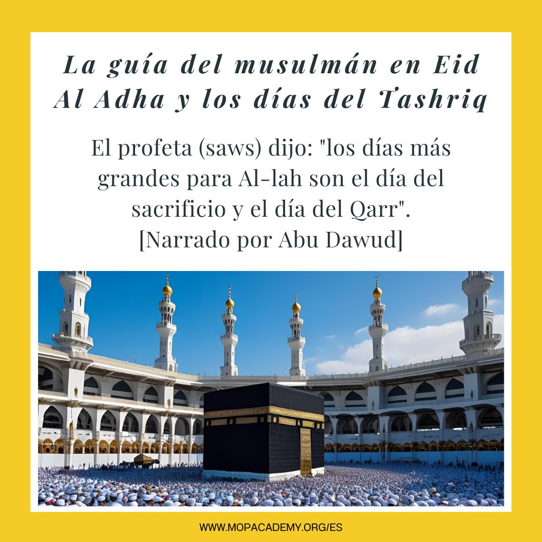 Guía del musulmán sobre Eid al-Adha y los días posteriores