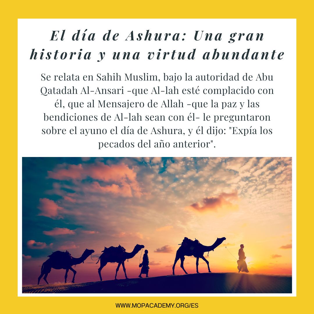  Una gran historia y una virtud abundante 